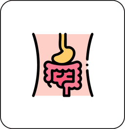 Digestive, Elimination & Metabolic