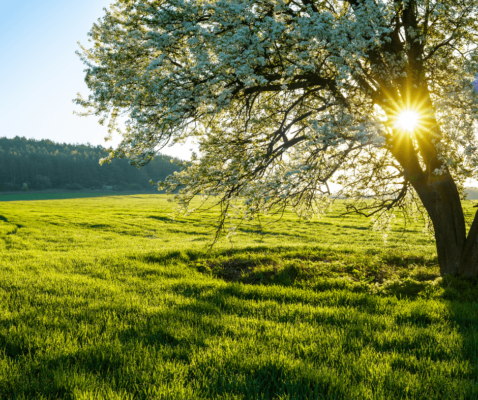 Imagine how it would feel to